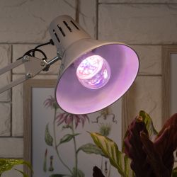 Фитолампа для растений светодиодная ЭРА FITO-11W-Ra90-E 27 полного спектра new 11 Вт Е27 | Фитолампы Е27