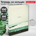 Тетрадь на кольцах БОЛЬШАЯ А4, 215х305 мм, 100 л., твердый картон, клетка, BRAUBERG, "Nature", 405411