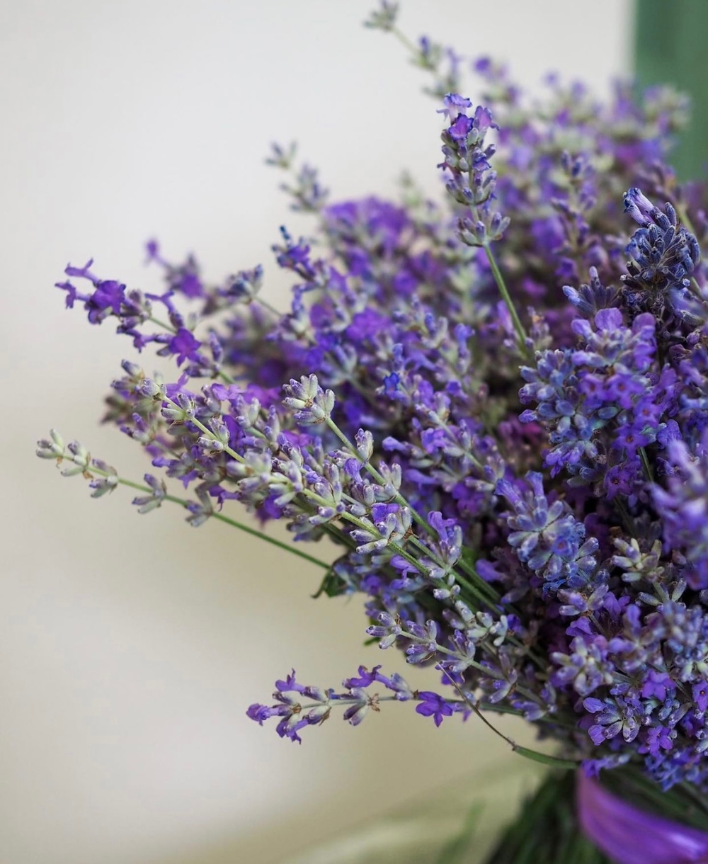 Букет из лаванды "Lavender XL”