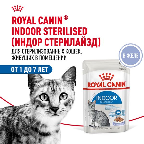 Пауч Royal Canin Indoor Sterilised для взрослых кастрированных и стерилизованных кошек, живущих в помещении, кусочки в желе