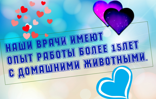 Более 15 лет стаж работы у наших врачей