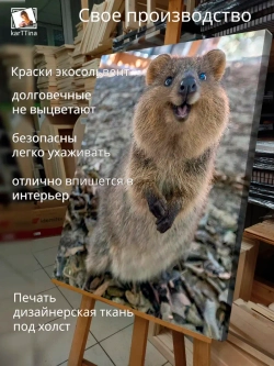 Картина "Квокка", интерьерная 30х40см 1шт.
