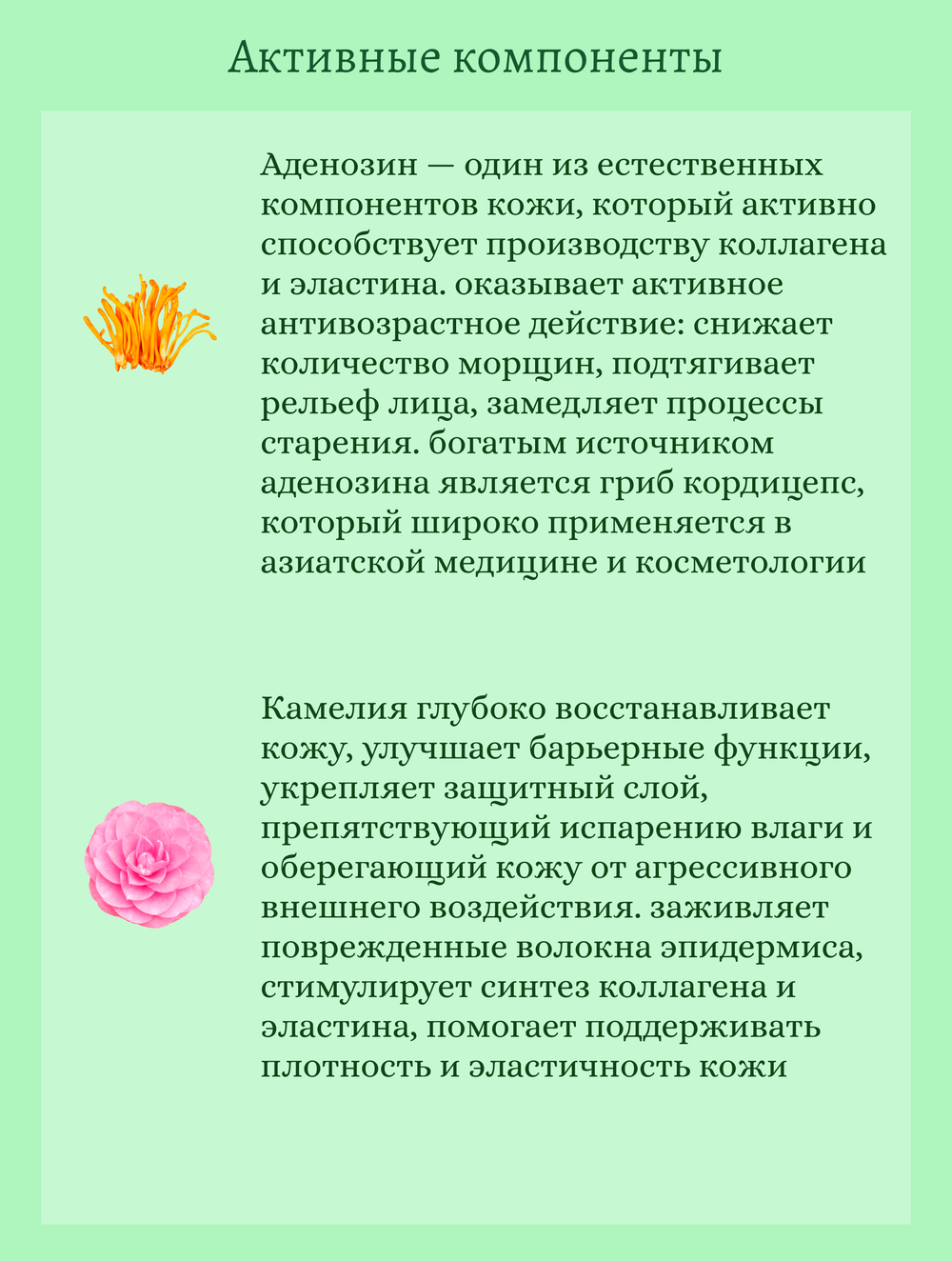 Увлажняющий тонер с экстрактом алоэ вера 300 ml Jigott Moisture Real Aloe Vera Toner
