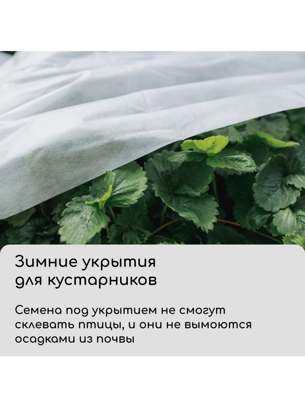 Укрывной материал спанбонд 42 белый