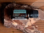«Северное сияние» смесь эфирных масел, doTERRA Northern Escape, 15 мл