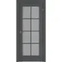 Фото двери ПЭТ Витон 01R grey со стеклом