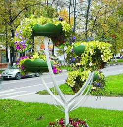 Цветочница Астра