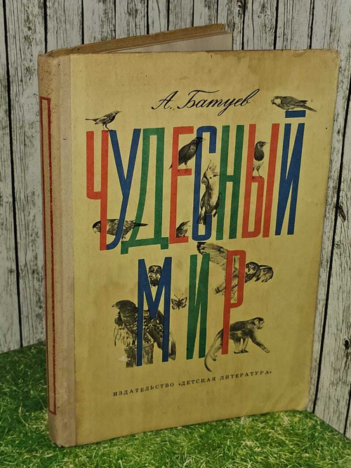 Чудесный мир
