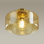 Накладной светильник Odeon Light Binga 4747/1C