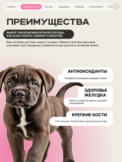 Корм сухой для щенков породы Кане корсо, с говядиной, 3 кг, QUATTRO