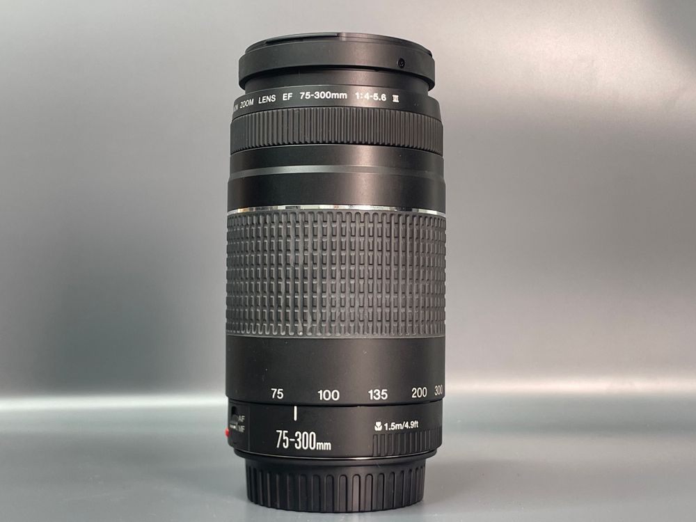 Canon EF 75-300mm 4-5.6 III