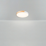 Потолочный светодиодный светильник Freya Sprida FR6129CL-L80W