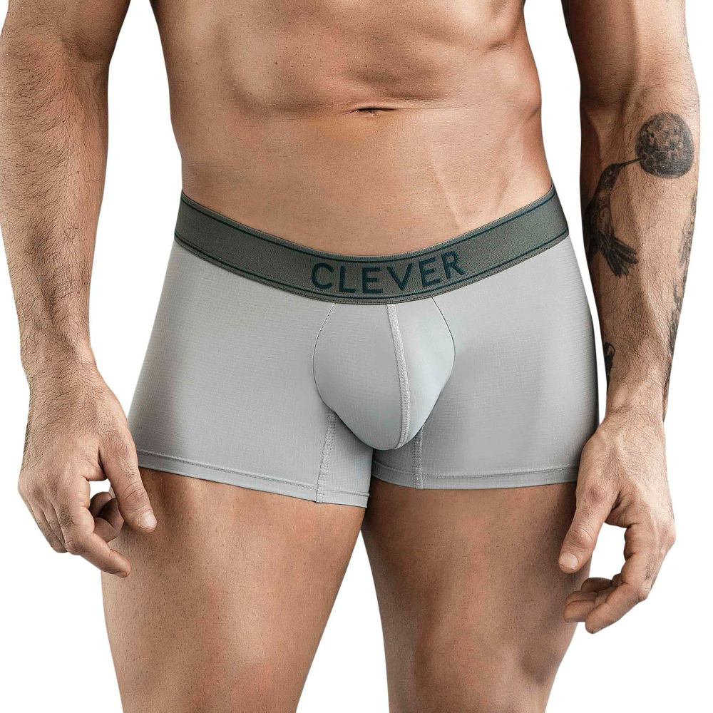 Cерые мужские трусы-хипсы Clever Berna Trunks