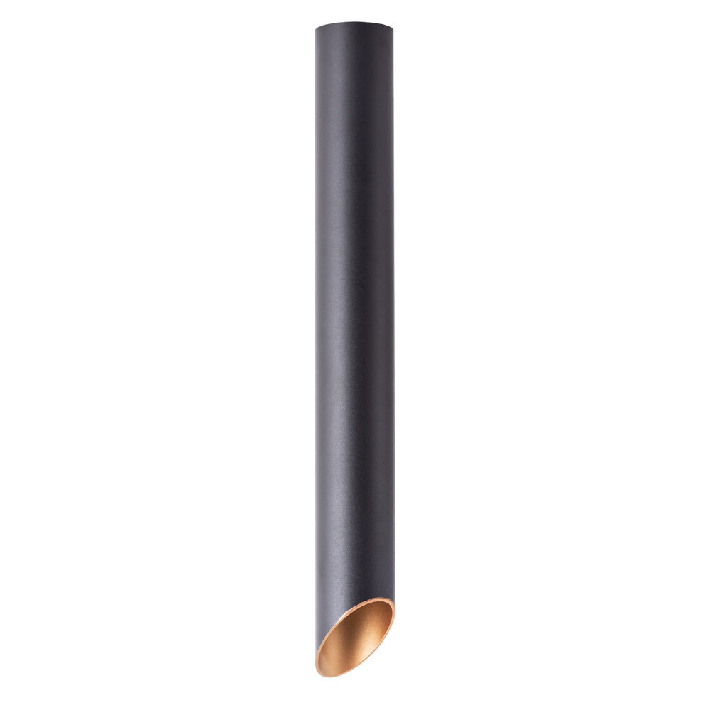 Светильник потолочный Arte Lamp Pilon-Gold A1537PL-1BK