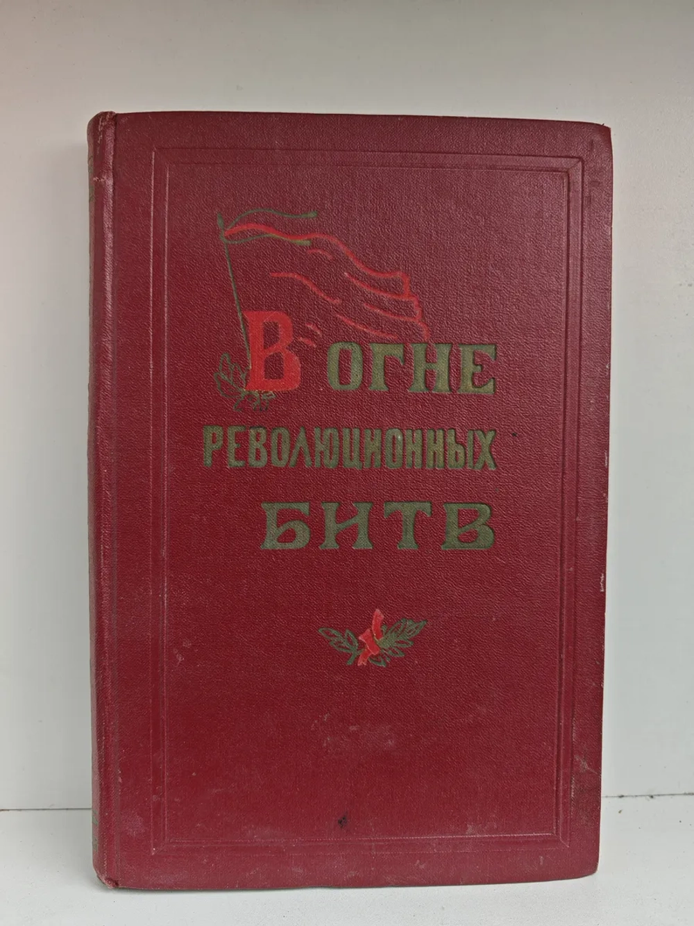 В огне революционных битв