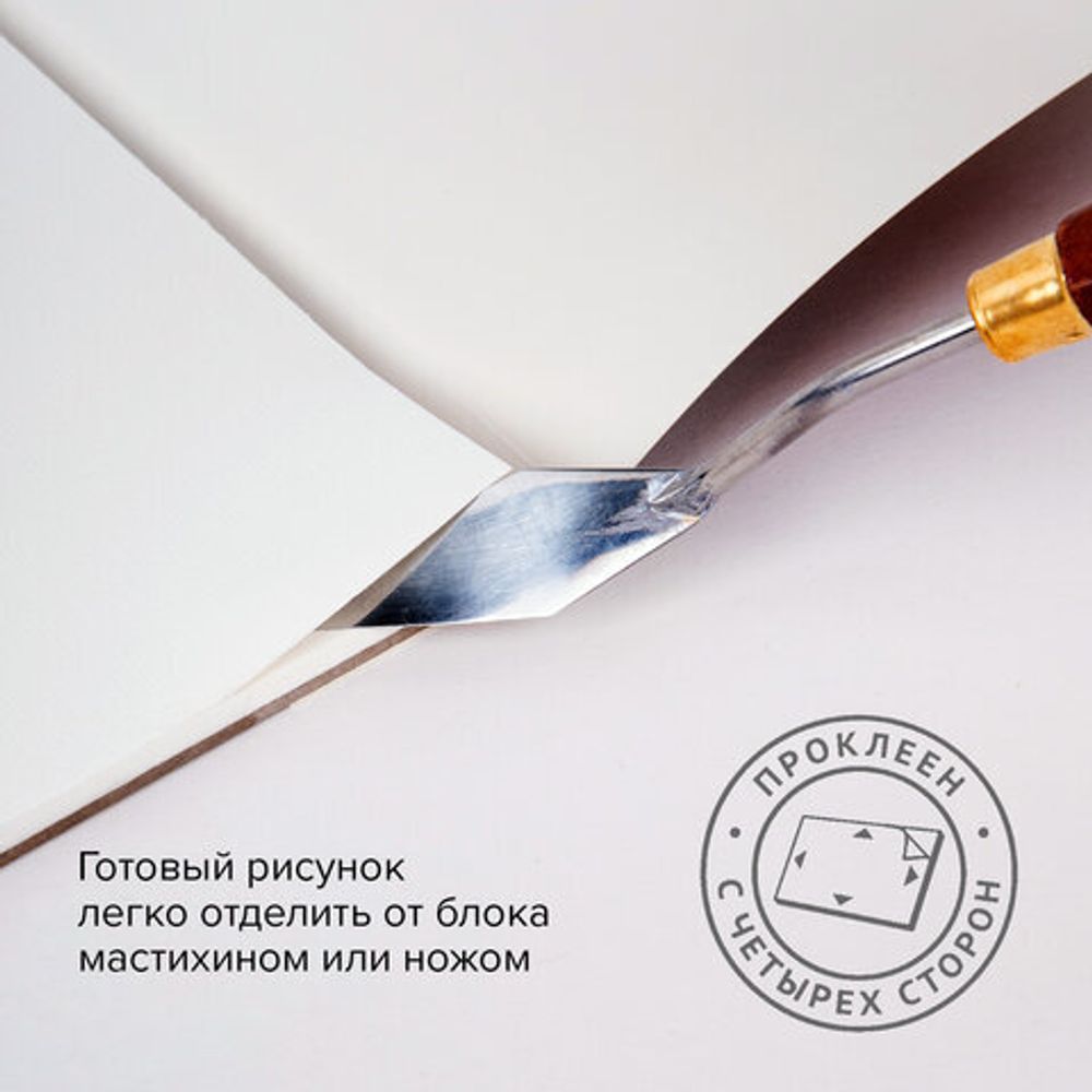 Папка для акварели/планшет, 300 г/м2, 190х270 мм, склейка, мелкое зерно, 20 л., BRAUBERG ART PREMIERE, 113246