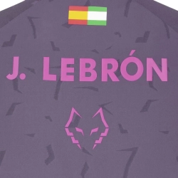 Мужская теннисная футболка Babolat Replica J.Lebron - black plum