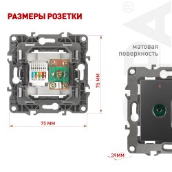 Розетка ЭРА Серия 12 12-3110-12 комбинированная RJ45+TV IP20 графит | Эра 12
