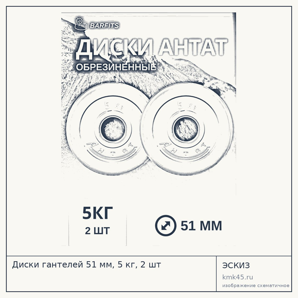 Диски гантелей 51 мм, 5 кг, 2 шт — от 2 800 ₽