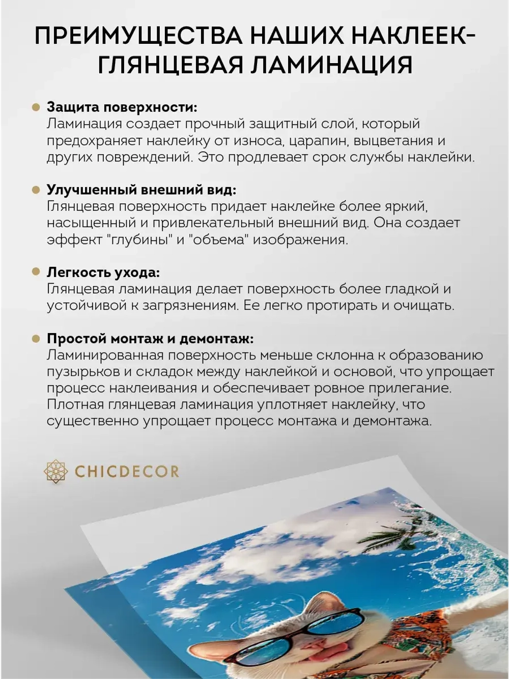 Наклейка интерьерная на холодильник Кот на сапе