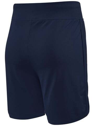 Мужские теннисные шорты Hydrogen Tech Shorts Man - navy