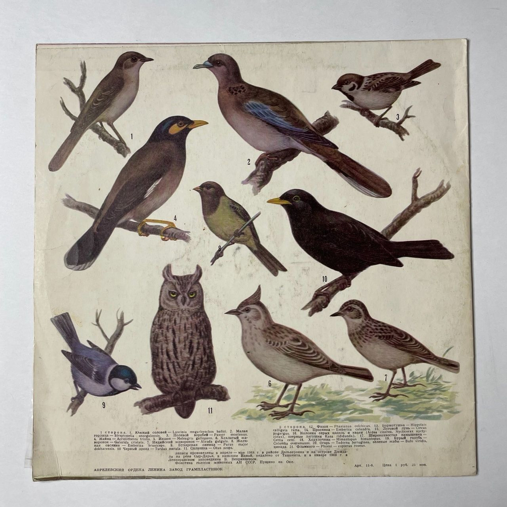 Винтажная виниловая пластинка LP Голоса Птиц В Природе, Средняя Азия: Bird's Voices in Nature, Central Asia (СССР 1977)