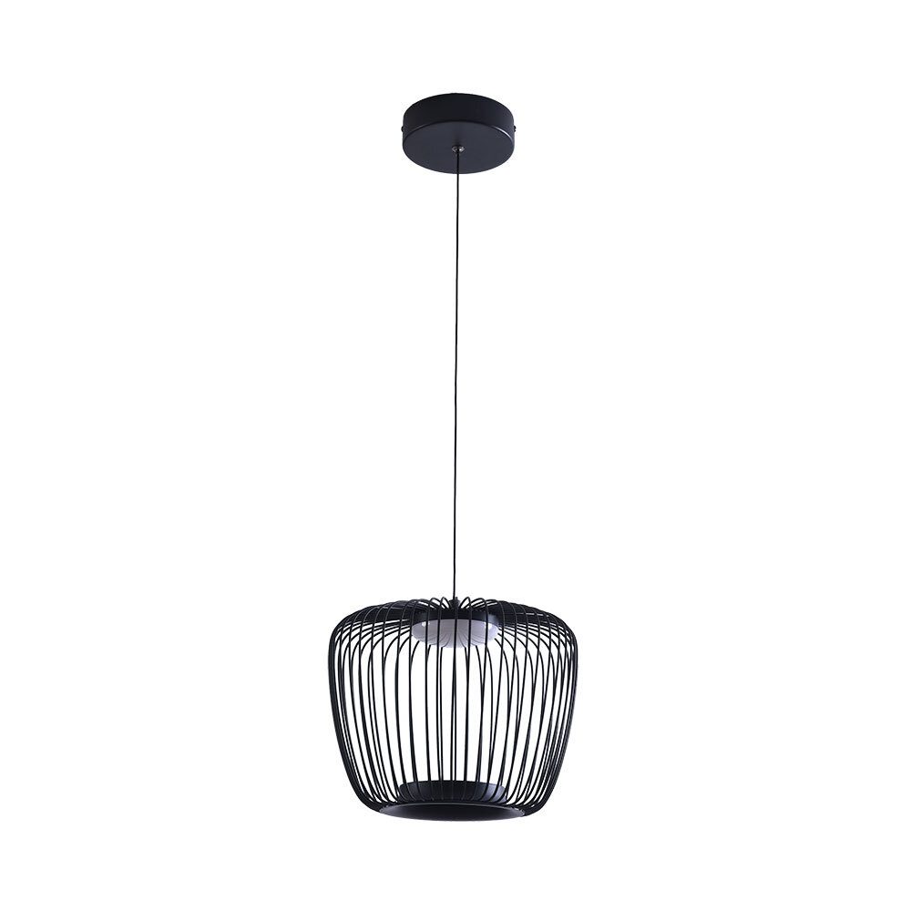 Светильник подвесной Arte Lamp Flare A3529SP-12BK