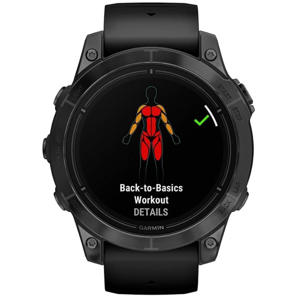 Умные часы Garmin Epix Pro (Gen 2) Standard Edition 47 мм, серый, черный ремешок