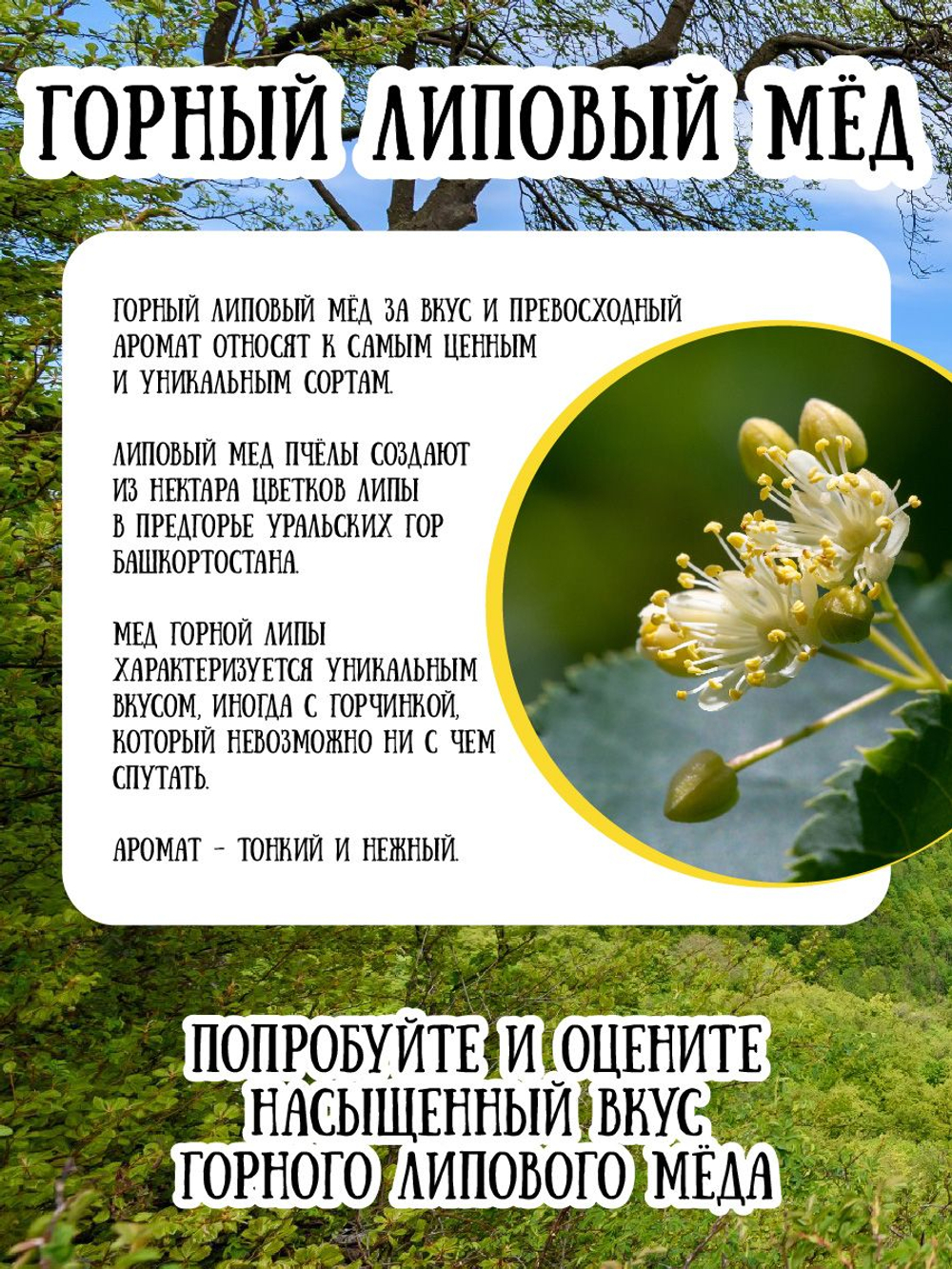 Мёд натуральный горный липовый, 15 кг.