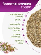 Золототысячник