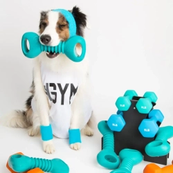 Гантель ZippyTuff Squeakerz 25 cм ZippyPaws