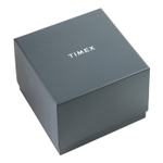 мужские  наручные часы Timex TW2W20500