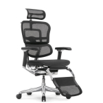 Кресло FALTO Ergohuman Luxury 2 с подножкой ( чёрный каркас /сетка чёрный T-168-B1 Black )