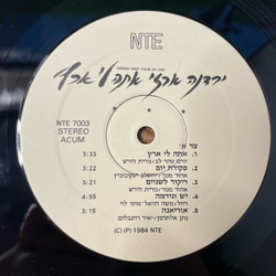Винтажная виниловая пластинка LP Yardena Arazi You re My Land (Израиль 1984)