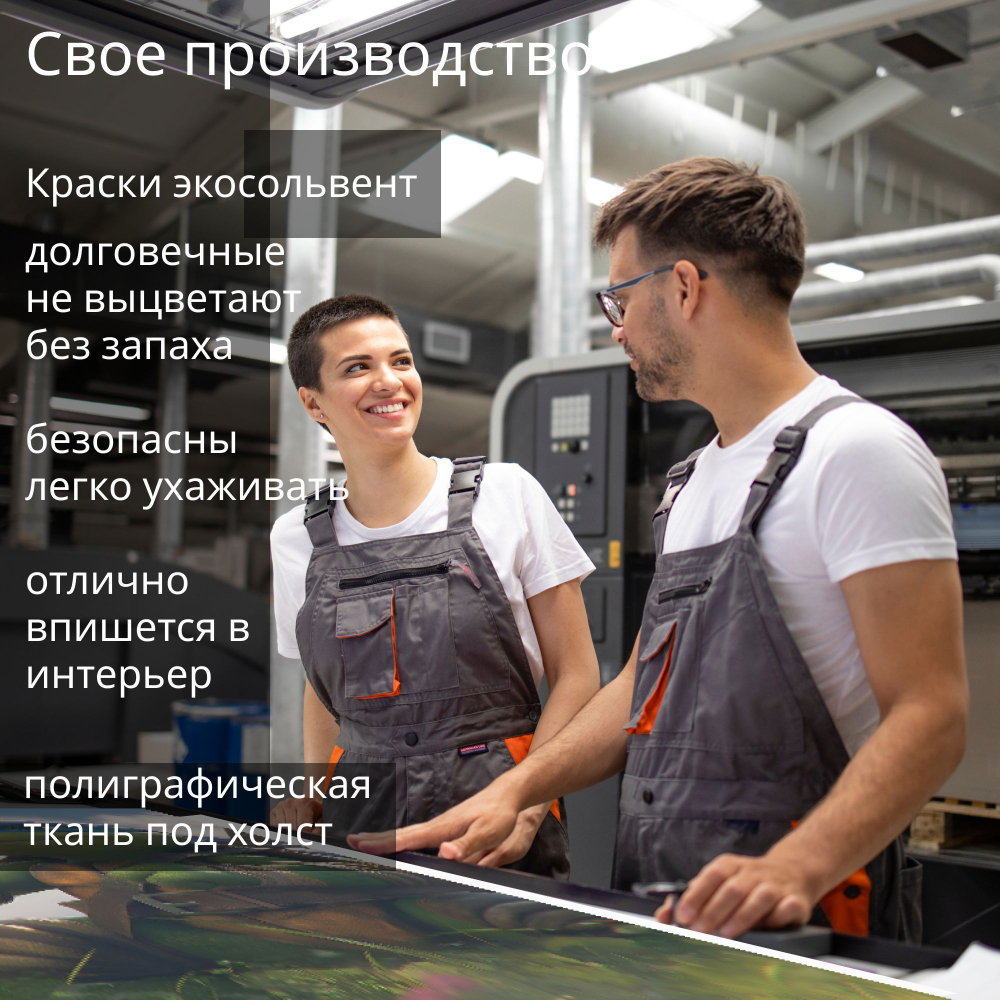Картина на стену "Donald Duck" 50х70см 1шт.