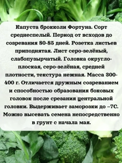 Семена Капуста брокколи Фортуна 1гр