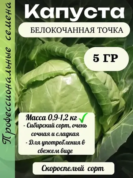 Семена капуста белокочанная Точка 5 гр