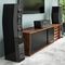SVS Ultra Evolution Tower Black Oak