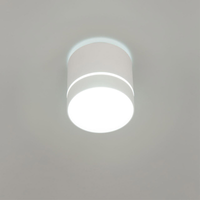 Citilux Борн CL745020N LED Светильник накладной Белый