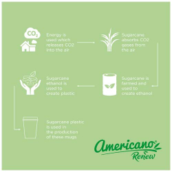 Americano® Switch Renew кружка объемом 300 мл с крышкой, вращающейся на 360°