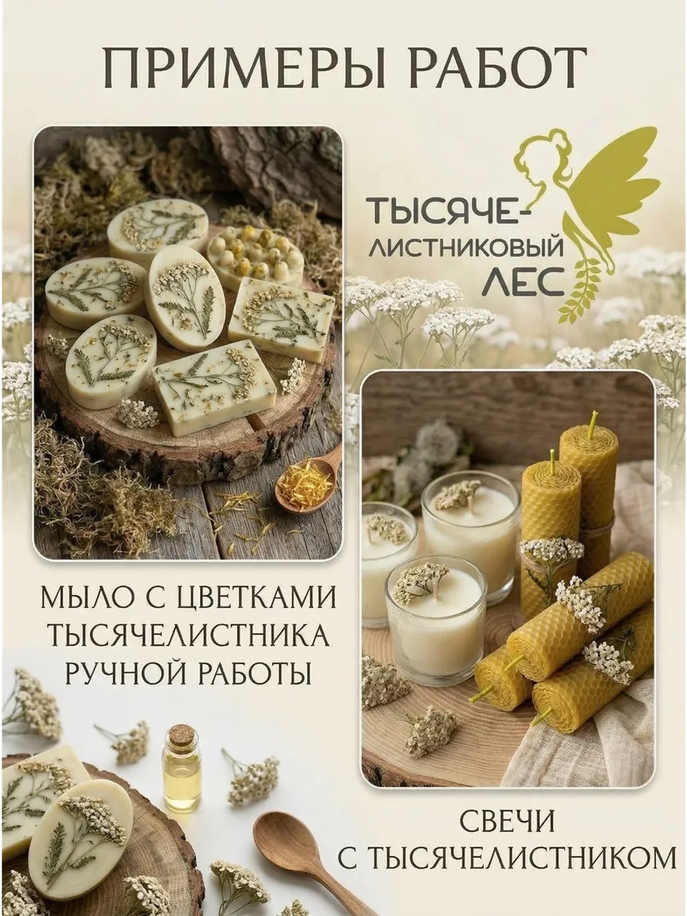 Одуванчик майский цветы сушеные для декора, панно и поделок
