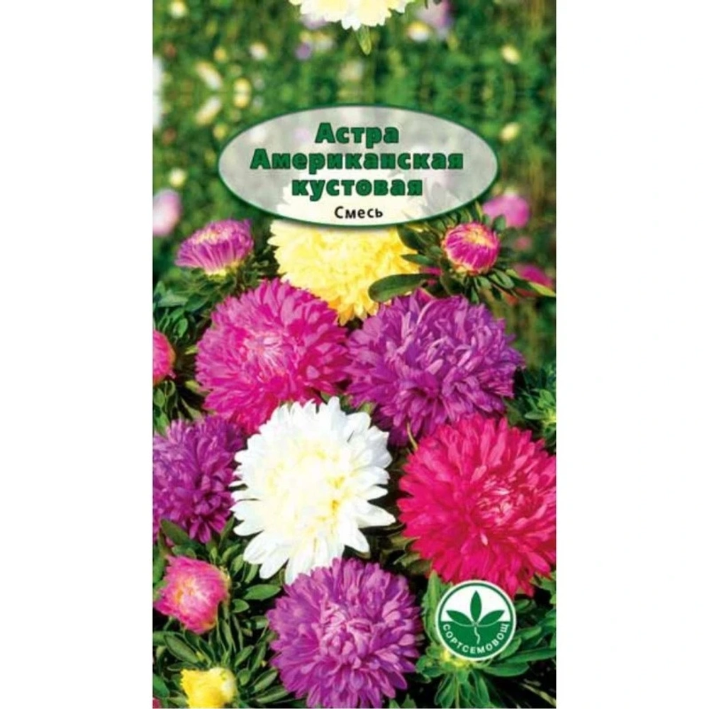 Семена Астра Американская кустовая 0,3гр