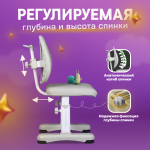 Комплект Anatomica Fiona парта + стул + надстройка + выдвижной ящик