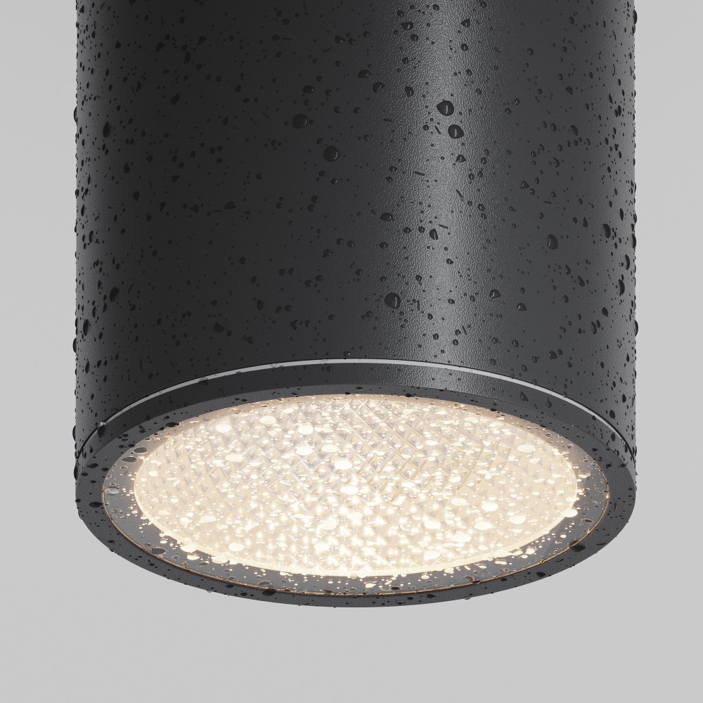 Уличный потолочный светильник Outdoor O306CL-L12GF