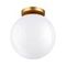 Потолочный светильник Odeon Light Hightech Bosco 4248/1C