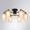 Потолочная люстра Leo A7027PL-6BK Arte Lamp