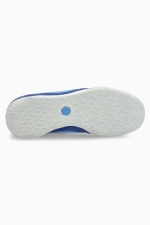 Футзалки Nike Tiempo Streetgato PRM IC - синий