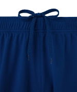Шорты игровые Jogel DIVISION PerFormDRY Union Shorts, темно-синий Z4
