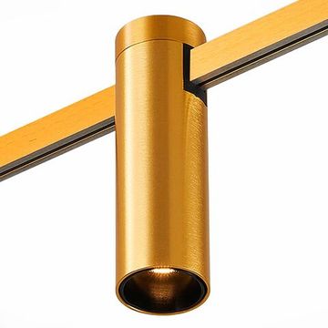 Магнитный трековый светильник LED 5W 3000К 24V ST810.206.05 золото Farm ST-Luce