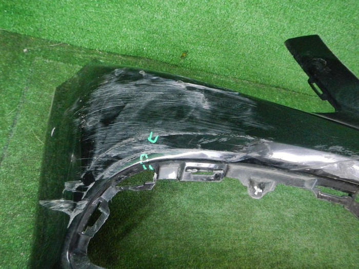 DSCN4696.JPG